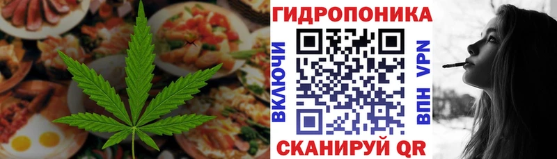 Еда ТГК марихуана  где купить наркотик  Светлый 