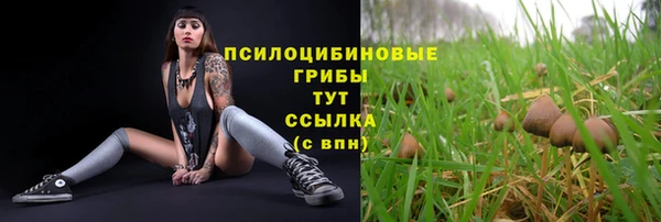 амф Осинники