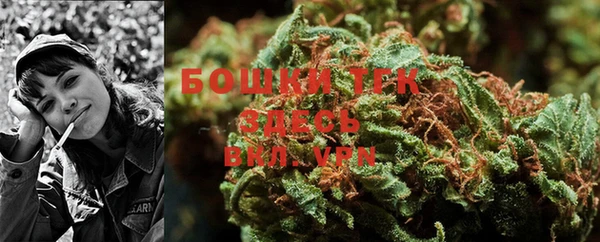 амф Осинники