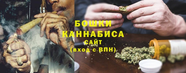 амф Осинники