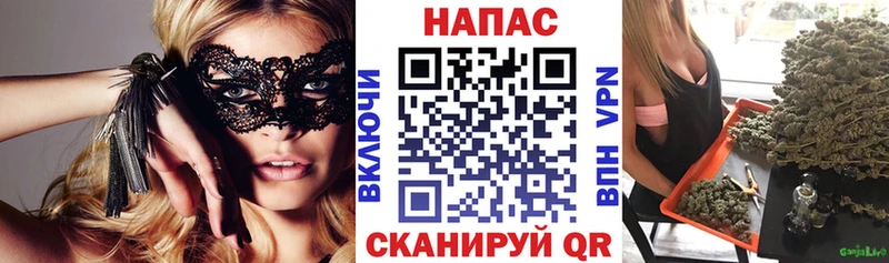 Бошки марихуана SATIVA & INDICA  Светлый 